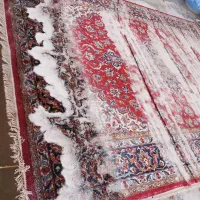 قالیشویی  مهر (خوی)|خدمات نظافت|خوی, |دیوار