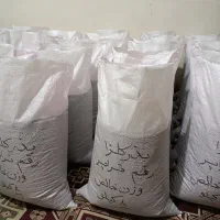 بذر کلزا تراپر‌ و هایولا 50|گل و گیاه طبیعی|آق قلا, |دیوار
