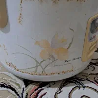 پلوپز وبخارپز ده الی ۱۲ نفره|اجاق گاز و لوازم برقی پختوپز|گرگان, |دیوار