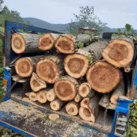 بالاترین خرید چوب و درخت باغی نقدی 7000|خدمات باغبانی و درختکاری|گرگان, |دیوار