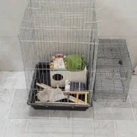 قفس پرنده