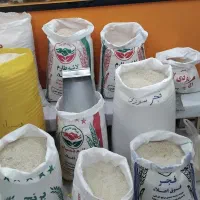 انواع برنج ایرانی کشت دوم|عمده‌فروشی|قوچان, |دیوار