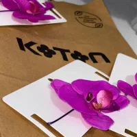 گردنبند کوتون|بدلیجات|تهران, میرداماد|دیوار