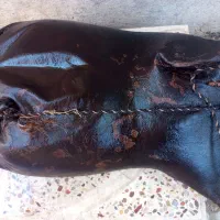 مشک اب
