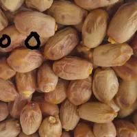 قصب زاهدی|خوردنی و آشامیدنی|کردیان, |دیوار