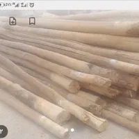 خرید ضایعات چوب گردو بید همراه با برش|خدمات باغبانی و درختکاری|شهرکرد, |دیوار