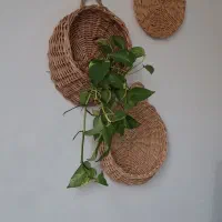 سفارش انواع دیوارکوب،سینی و سبد