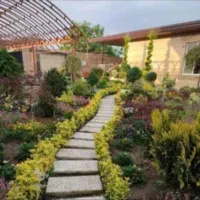 هرس گل و گیاه و رسیدگی باغ و باغچه|خدمات باغبانی و درختکاری|ساری, |دیوار