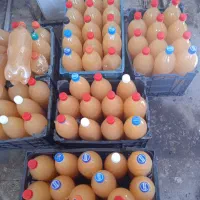 فروش سرکه سیب خانگی