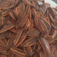 تخمه آفتابگردان و انواع آلو|حراج|خرمدره, |دیوار