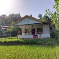 ویلا جنگلی گیلان