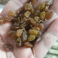 تیزاب برا امسال با قیمت مناسب