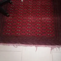 فرش|فرش|مشهد, هفت تیر (نه دره)|دیوار