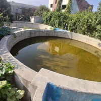 پرورش ماهی|استخدام صنعتی، فنی، مهندسی|کردکوی, |دیوار