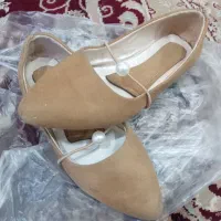 کفش|کیف، کفش، کمربند|شیراز, پودنک|دیوار