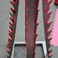 جا دمبلی
