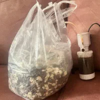 لوازم اکواریوم|ماهی|کاشمر, |دیوار