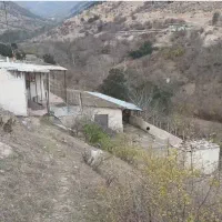 فروش گاوداری ۲۰ راسی شیری