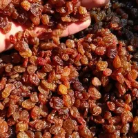 کشمش پلویی|خوردنی و آشامیدنی|ملایر, |دیوار