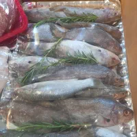 پکیچ کامل فقط دوتومن|خوردنی و آشامیدنی|حمیدیا, |دیوار