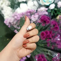 تخفیف ویژه کاشت