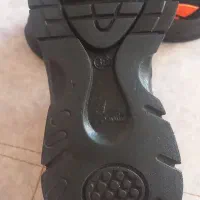 کفش|کیف، کفش، کمربند|زنجان, |دیوار