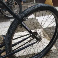 دوچرخه 26|دوچرخه، اسکیت، اسکوتر|گنبد کاووس, |دیوار