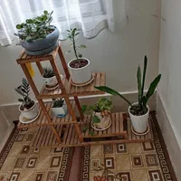 استند گل|گل و گیاه طبیعی|تهران, مشیریه|دیوار