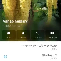 نهال انگور