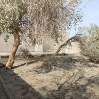 باغ ویلا- زابل- روستای شهرک گلخانی|فروش خانه و ویلا|صابری, |دیوار