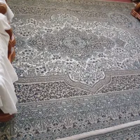 ۹متری و ۶ متری هرکدام باهم ۸ مقطوع|فرش|شیراز, جمهوری|دیوار
