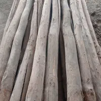 چوب سالم|مصالح و تجهیزات ساختمان|میاندوآب, |دیوار