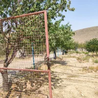 زمین کشاورزی 1400متری فنس کشی|فروش دفتر صنعتی، کشاورزی، تجاری|اصفهان, مرداویج|دیوار