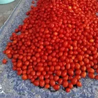 گوجه گوشتی باب رستوران