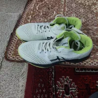 کفش والیبال|کیف، کفش، کمربند|گمیشان, |دیوار