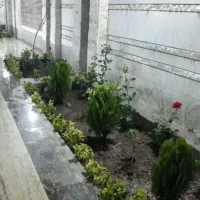 باغبان شهر|خدمات باغبانی و درختکاری|چابهار, |دیوار