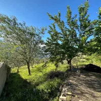 زمین به متراژ ۳۳۰۰ متر برای ساخت باغ ویلا