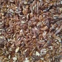 مغز گردو از 150ت برگ زردالو بادام|خوردنی و آشامیدنی|تهران, دانشگاه شریف|دیوار