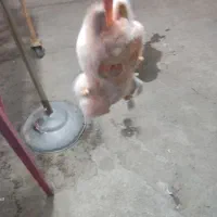 لبوبو مارک انرژی فروش فوری|اسباب‌بازی بچه|دهدشت, |دیوار