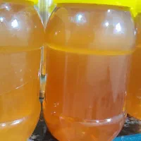 عسل کنار و عسل گون اصل