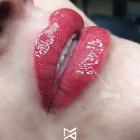 مدل میکروبلیدینگ ابرو و شیدینگ لب با هزینه جزئی|خدمات آرایشگری و زیبایی|فردیس, فردیس|دیوار