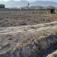 فروش2قطعهزمینهرکدومبهمتراژ400..|فروش زمین و ملک کلنگی|جهرم, |دیوار