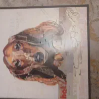 تابلو حیوانات