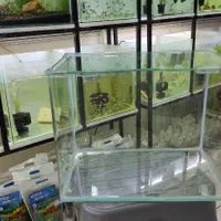 آکواریوم شیشه خم حراج / آکواریوم بهروز|ماهی|زنجان, |دیوار