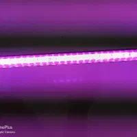 لامپ رشد گل و گیاه|لامپ و چراغ|ساوه, |دیوار