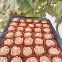 حلواخاطره|خوردنی و آشامیدنی|بناب, |دیوار