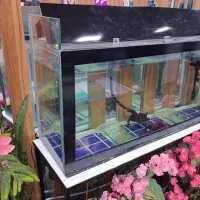 شیشه آکواریوم