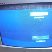 تلویزیون ۱۴ اینچ پارس