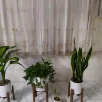 خانه  برای اجاره|اجارهٔ خانه و ویلا|اصفهان, میرعماد|دیوار