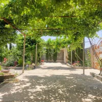 معاوضه-باغ-ویلا-با-پکچ-چند-واحدی